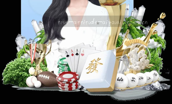 数据驱动决策，洞察未来